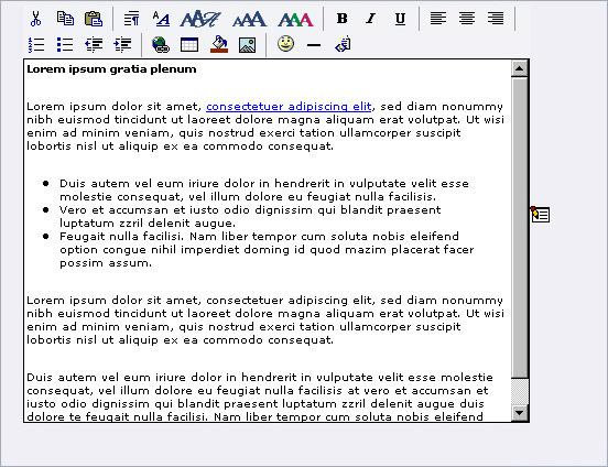 TYPO3 - Der klassische Rich Text Editor (Screenshot: Agentur MUC-CMS)
