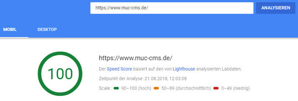 Abbildung und Link: MUC-CMS.de bei PageSpeed Insights von Google